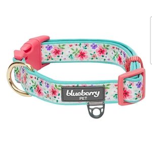 Blueberry Pet Pretty Posies Spring padded polyester dog collar. Size small.  NWT